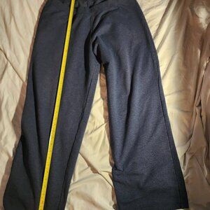 blue Hanes Ecosmart size LG comfy sweatpants